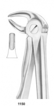  Fig. 13 lower premolars 